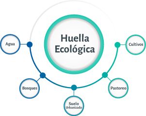 Huella Ecológica